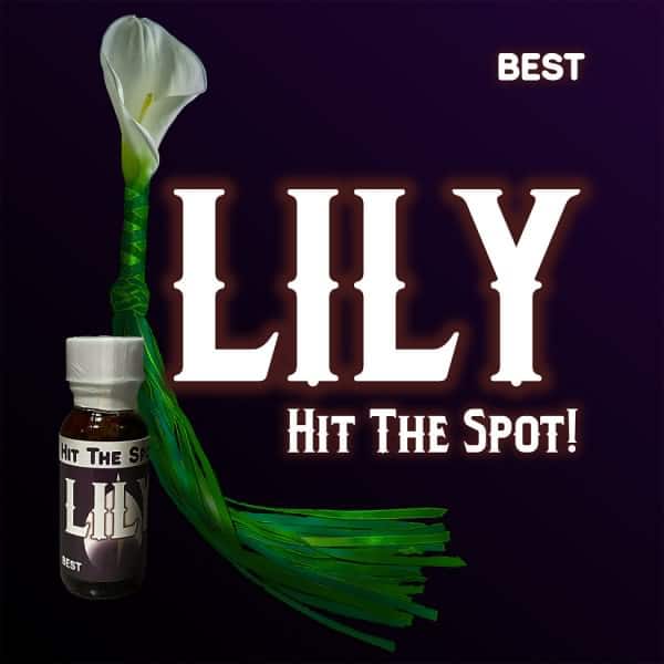 lily - key cleaner - Hit the Spot